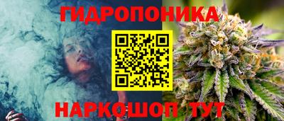 гидропоника Рузаевка