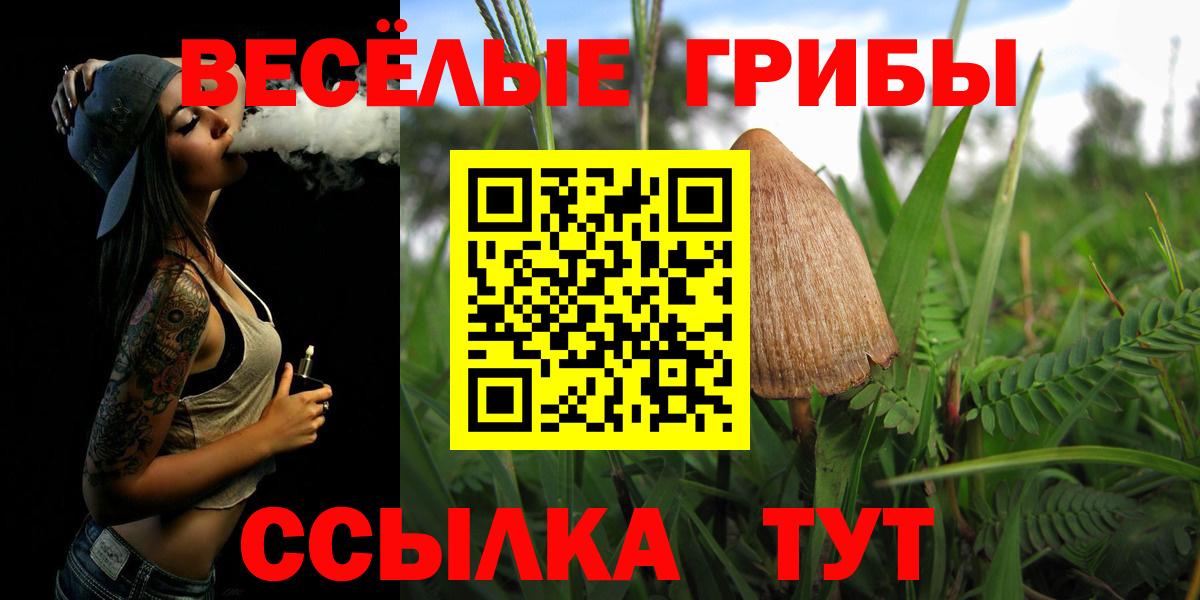 Галлюциногенные грибы мухоморы  Вход с VPN  Ногинск 